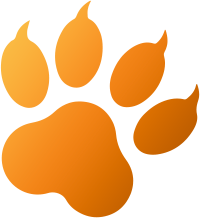 Letters & Newsletters